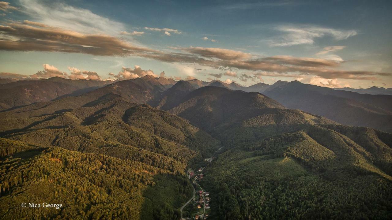 Hanul Patrisiei Cîrţişoara Exterior foto