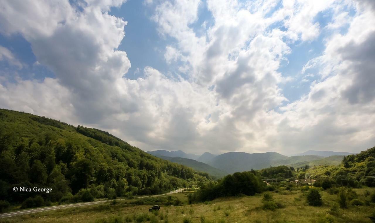 Hanul Patrisiei Cîrţişoara Exterior foto